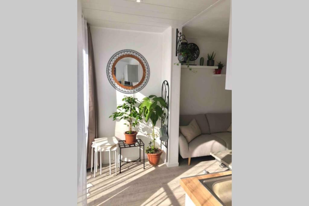 Grand Studio Cabine 30 M² Centre Ville, Refait A Neuf Pour Vous ! Climatise La Grande Motte Exterior photo